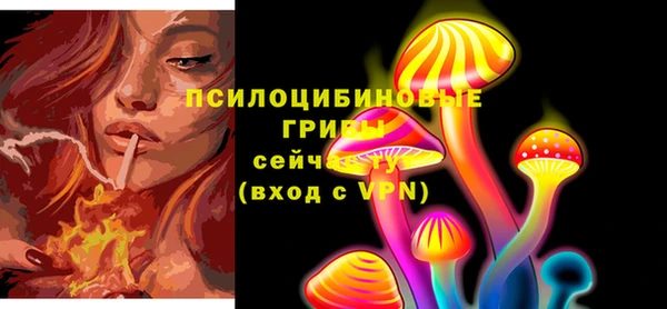 PSILOCYBIN Богданович